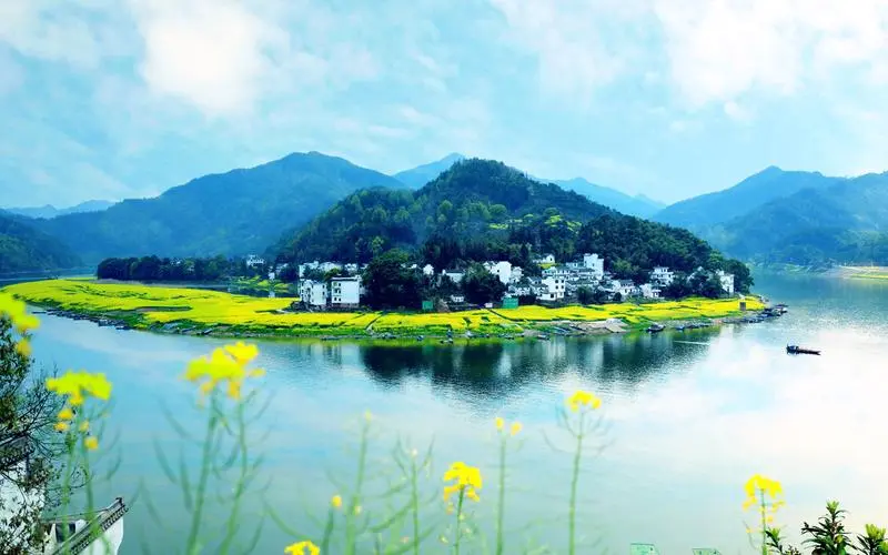 高性能高性能